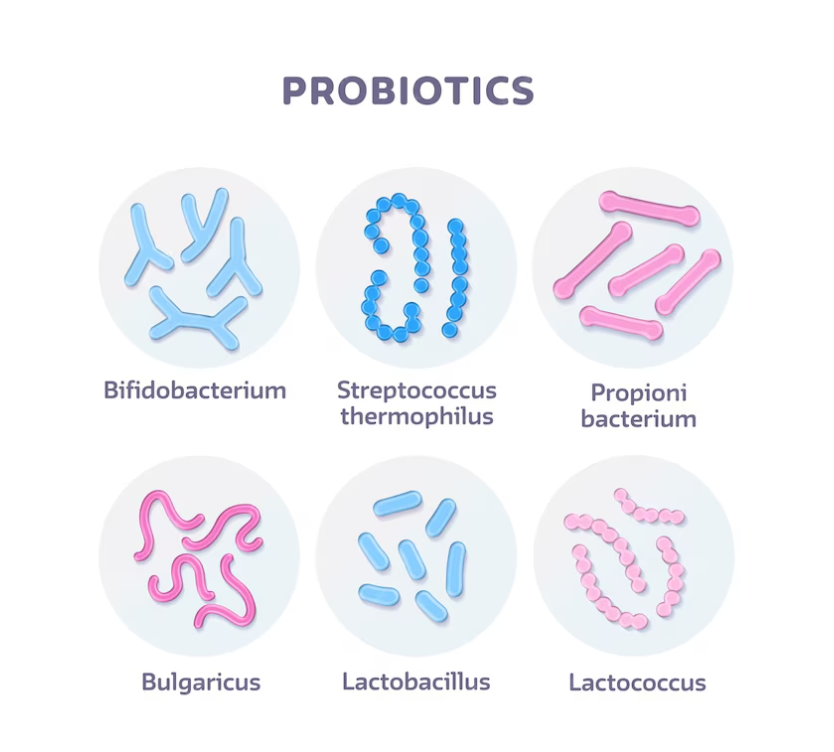 GLP-1 Probiotic Side Effects